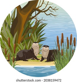 Round composition. Two river otters sit on the banks of a river or lake in thickets of reeds. Eurasian otter Lutra lutra. Realistic vector animal