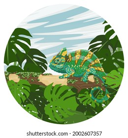 Round composition. Veiled chameleon sits on a large branch of a tropical tree covered with moss. Thickets of epiphytic ferns and Monstera plants. Chamaeleo calyptratus. Realistic vector landscape