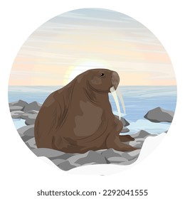 Round composition. Walrus are resting on the rocks. Wildlife of the Arctic. Realistic vector landscape