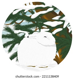 round composition. White Fluffy Polar Hare are sitting in the snow under a spruce tree. New Year 2023. Realistic vector winter landscape.