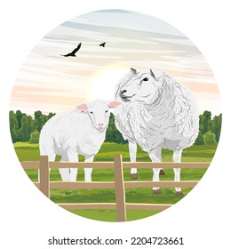 Round composition. White sheep and lamb in the meadow. Farming and farm animals. Realistic vector landscape
