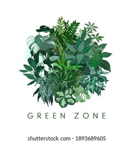 Round concept composition with tropical house plants, urban jungle, hand drawn vector illustration, flat design