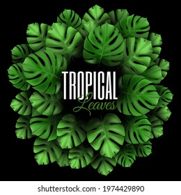 Round concept composition with tropical plants. Natural Realistic Green Palm Leaf Tropical Background. Circle frame with copy space. design template for advertising web social media and fashion ads.