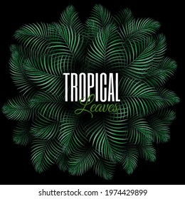 Round concept composition with tropical plants. Natural Realistic Green Palm Leaf Tropical Background urban jungle vector illustration design template for advertising web social media and fashion ads