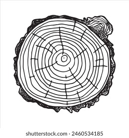 round cut of wood. vector line drawing.