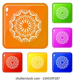 Round dandelion icons set collection vector 6 color isolated on white background