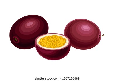 Round Dark Purple Passion Fruit with Juicy Flesh Containing Numerous Seeds Vector Illustration