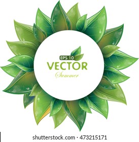 Round design of green leaves isolated on white, vector illustration, eps-10