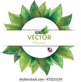 Round design of green leaves with ladybug isolated on white, vector illustration, eps-10