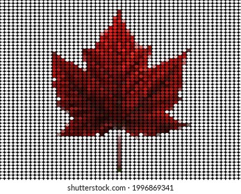 The round dotted of flat maple leaf