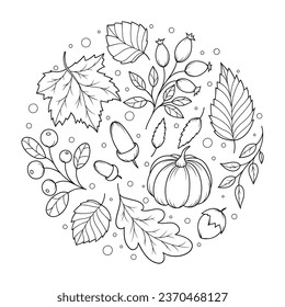 Dibujo redondo con un tema otoñal - calabaza, hojas, frutas y bellotas. Antiestrés colorante para adultos y niños. Ornamento de garabato en blanco y negro. Dibujar a mano ilustración vectorial.