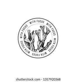 Round emblem with hand drawn Fucus algae. Vector illustration