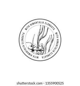 Round emblem with hand drawn Himantalia Elongata algae. Vector illustration
