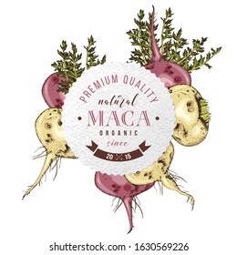 Round emblem with hand drawn maca roots. Superfood. Vector illustration in retro style