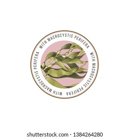 Round emblem with hand drawn macrocystis seaweed. Vector illustration