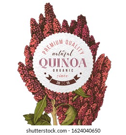 Round emblem with hand drawn quinoa. Superfood. Vector illustration in retro style