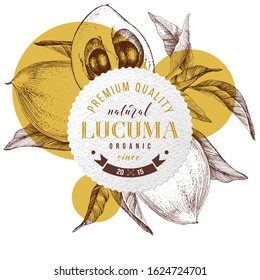 Emblema redondo con diseño de tipo sobre ramas lucuma dibujadas a mano. Supercomida. Ilustración del vector