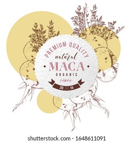 Round emblem with type design over hand drawn maca roots. Superfood. Vector illustration