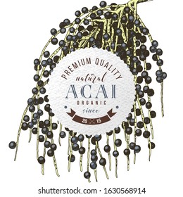 Round emblem with type - natural organic acai, premium quality since 2015 with hand drawn acai branch. Vector illustration