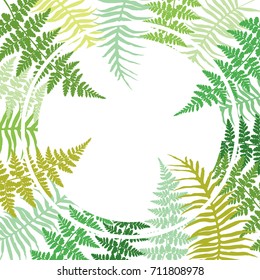 Round fern frond frame vector illustration. Bracken plant leaves green decorative border background. Detailed ferns drawing, tropical forest herbs, fern frond grass circle border.