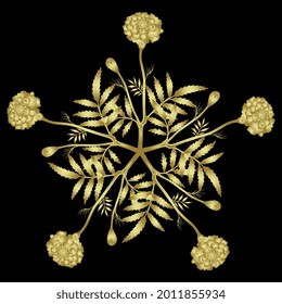 Round floral decor. Five point star with branches of marigold flower. (Tagétes). Golden glossy silhouette on black background. Isolated vector illustration. 