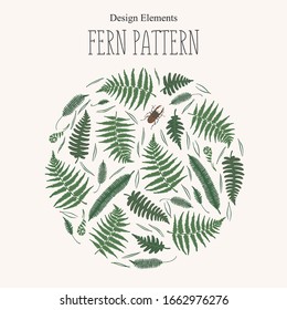Round floral decorative design element with fern, pine needles and stag-beetle. Forest ferns on light background. Vector illustration