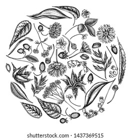 Round floral design with black and white aloe, calendula, lily of the valley, nettle, strawberry, valerian