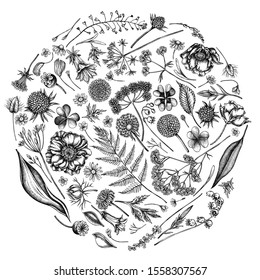 Round floral design with black and white shepherd s purse, heather, fern, wild garlic, clover, globethistle, gentiana, astilbe, craspedia, lagurus, black caraway, chamomile, dandelion, poppy flower