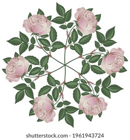 Round floral design with blooming pink rose branches. Botanical mandala with rosebud blossom.