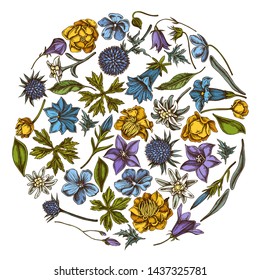 Round floral design with colored bellflower, edelweiss, globethistle, globeflower, meadow geranium, gentiana