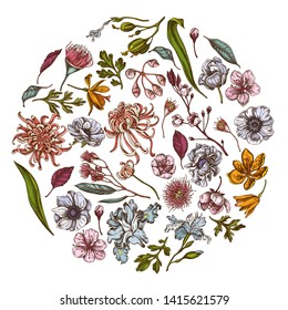 Round floral design with colored japanese chrysanthemum, blackberry lily, eucalyptus flower, anemone, iris japonica, sakura