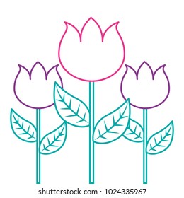 round floral flowers arrangement spring decoration