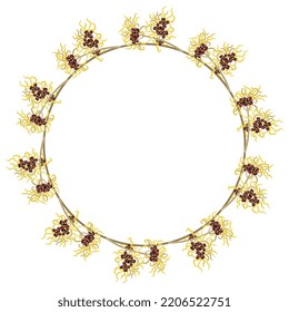 Round Floral Frame With Blooming Branches Of Witch Hazel Plant Or Hamamelis. Isolated Vector Illustration.