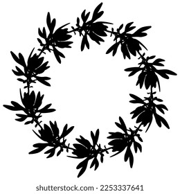 Round floral frame with blooming branches of Leucadendron or Conebush plant. Botanical succulent wreath. Black silhouette on white background.