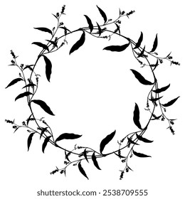 Round floral frame with blooming branches of Polygonum plant. Botanical border. Wreath of Knotweed or Smartweed flowers. Black silhouette on white background.