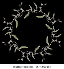 Round floral frame with blooming branches of Polygonum plant. Botanical border. Wreath of Knotweed or Smartweed flowers. On black background.