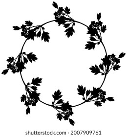 Round Floral Frame With Branches Of Hawthorn Tree. Botanical Wreath With Tree Blossom. Black Silhouette On White Background.