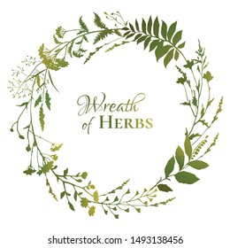 Round floral frame with green silhouettes of meadow herbs on white background. Herbal wreath. Decorative wreath. Wild grass. Vector illustration.