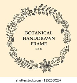 Round floral frame. Vector hand drawn tree leaves illustration in circle frame isolated on light background. Linear forest plants elements. Botanical background. 