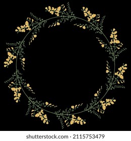 Round floral frame. Wreath of blooming Scotch Broom branch. Common broom. Cytisus scoparius. Sarothamnus scoparius. On black background.