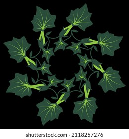 Round floral frame. Wreath of green ivy leaves. Botanical spiral mandala. On black background.