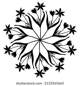 Round Floral Mandala With Blooming Branches Of Star Of Bethlehem Flower. Gagea Lutea. Spring Wildflower. Black Silhouette On White Background.