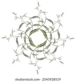 Round floral mandala with blooming branches of Polygonum plant. Knotweed or Smartweed flower. 