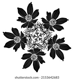 Round floral mandala or star shape with blooming branches of Eastern pasqueflower. Pulsatilla vulgaris. Black and white negative silhouette.