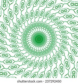 Round floral ornament background in vector