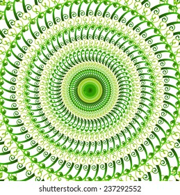 Round floral ornament background in vector
