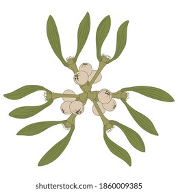 Round floral pattern with branches of mistletoe. Viscum album.