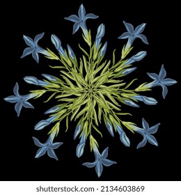 Round floral star or mandala. Bouquet with blooming branches of Gentiana ciliata. Fringed gentian. Gentianopsis crinita. Greater fringed gentian. Blue gentian. On black background.