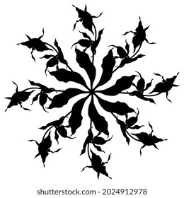 Round floral star shape. Botanical mandala with branches of Lady's slipper flower. Wild orchid. Cypripedium calceolus. Black silhouette on white background.