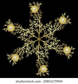 Round floral star with six blooming branches of Adonis flower. Pheasant's eye. Golden glossy silhouette with white pearls on black background. Jewelry design.